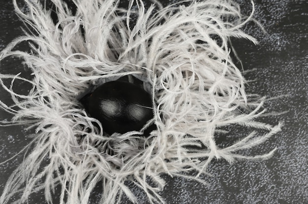 Close-up of black egg in a feather nest.