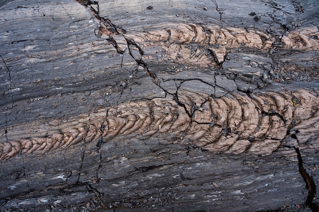 Close up of black lava swirl in hawaii volcanoes national\
park