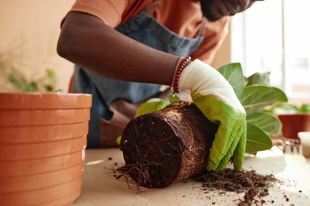 Photo close up of black man caring for houseplants