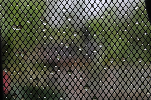 A close up of a black screen with raindrops on it.