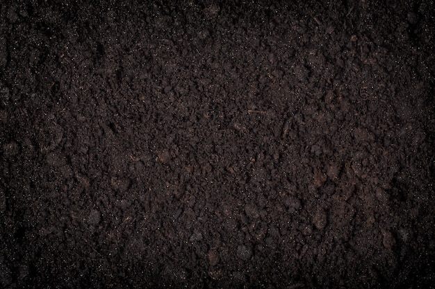 Close up of black soil background