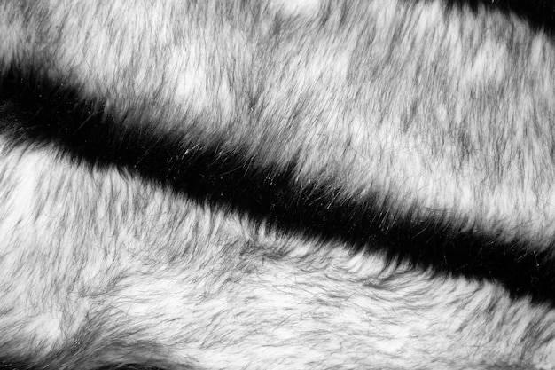 黒と白の自然な毛皮の背景テクスチャをクローズアップ