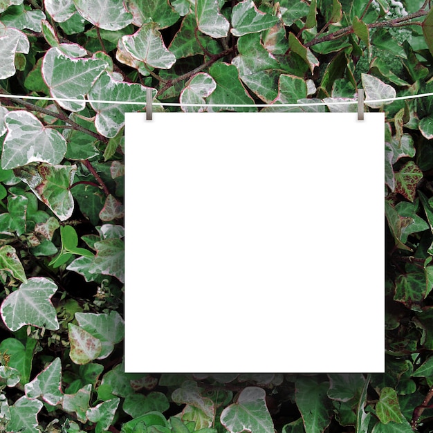 Photo close-up of blank white paper hanging against plants