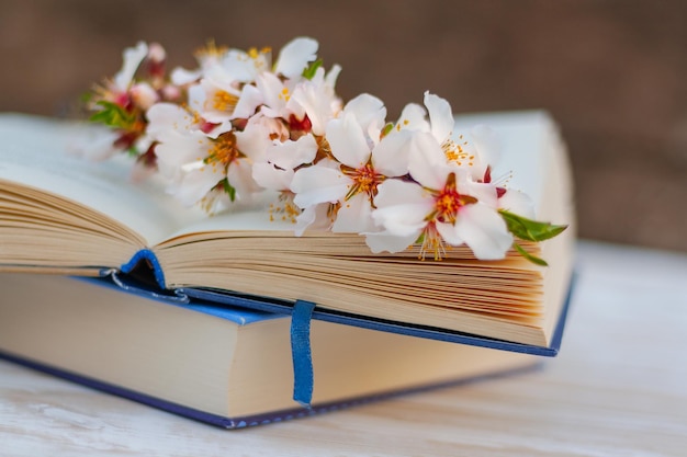 Close up blooming almond tree branch on the pages of an open book on a table