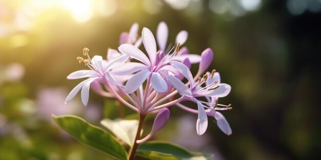 The close up of blooming lilac flowers with blur background Generative AI AIG27