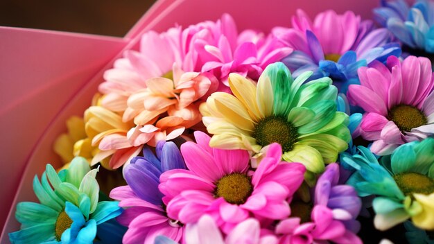 Close up blossom rainbow flowers bright bouquet