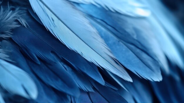 A close up of a blue bird's feathers