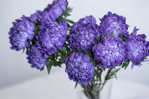 Close-up of blue chrysanthemums on a blurred background.