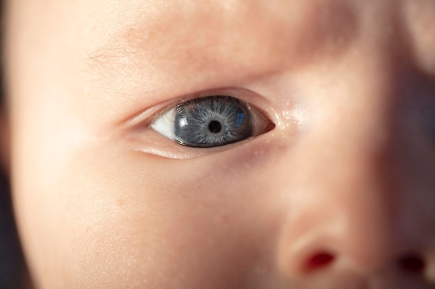 한 달 된 아기의 파란 눈의 클로즈업
