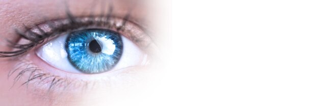 Крупный план голубого глаза с размытым белым переходом
