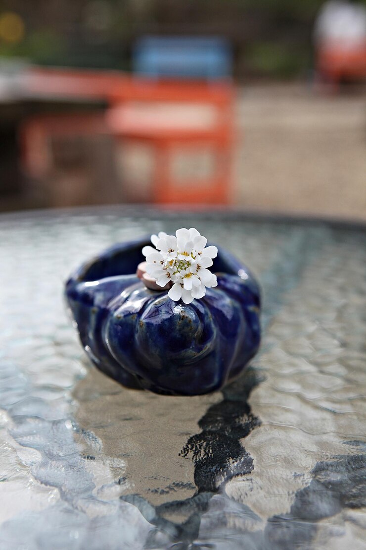 Photo close-up of blue flower on table