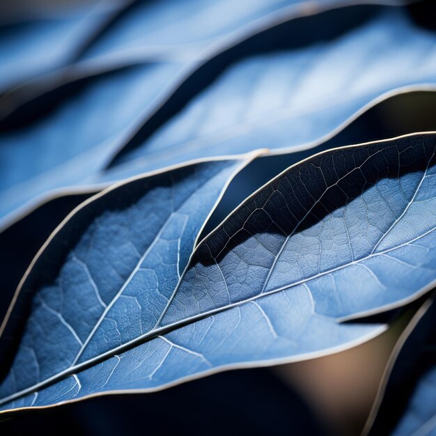 Photo a close up of blue leaves on a plant