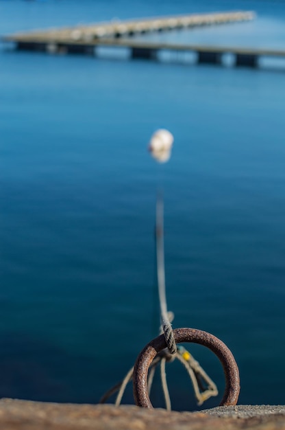 Photo close-up of blue sea