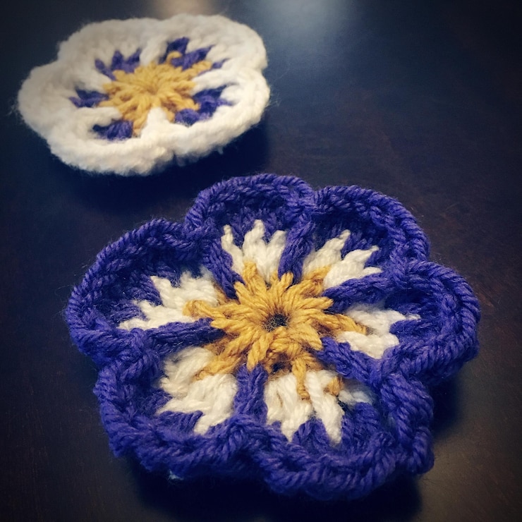 Photo close-up of blue and white flowers on table