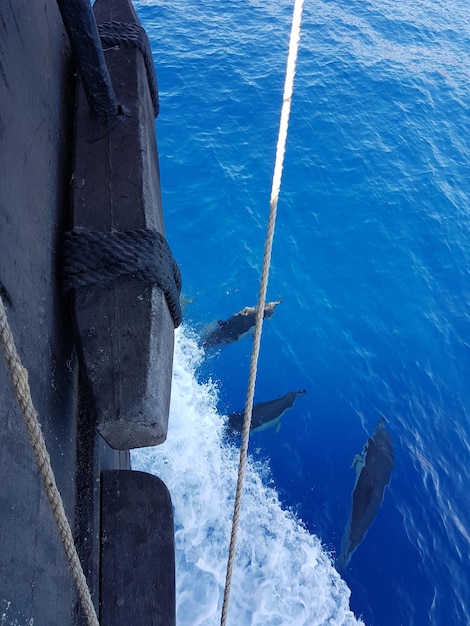 Foto prossimo piano di una barca in mare