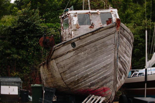 Close-up of boat on trees