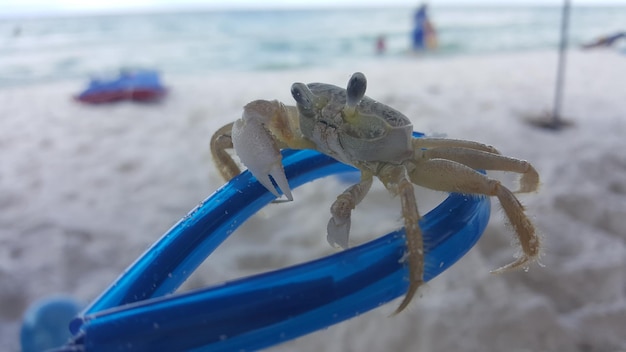 Близкий план лодки в воде