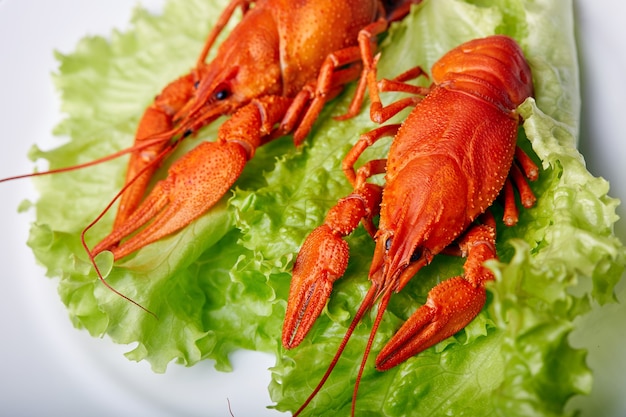 Close-up of boiled crayfish on a lettuce leaf