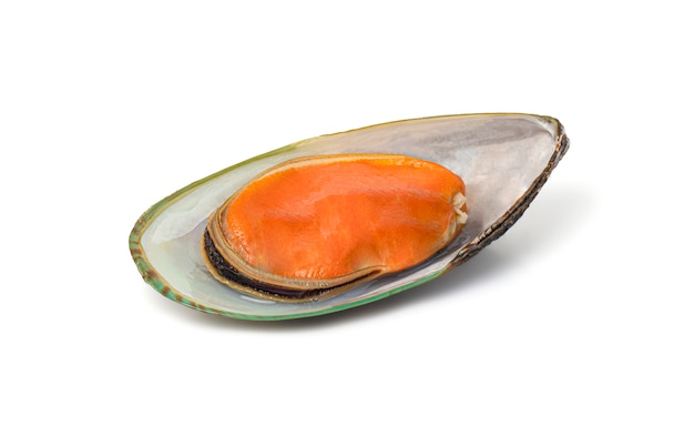 Close up of boiled New Zealand mussel isolated on a white space with clipping path.