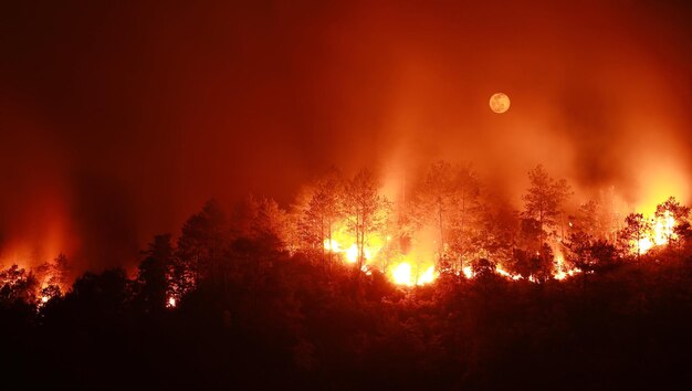 Close-up of bonfire against clear sky at night