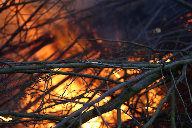 Photo close-up of bonfire burning