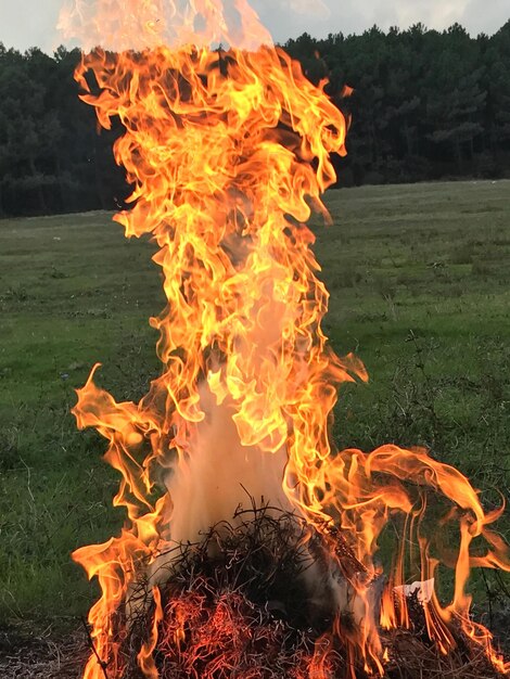 Close-up of bonfire on field against sky