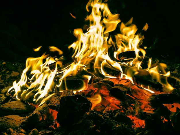 Close-up of bonfire at night