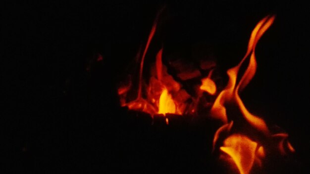 Close-up of bonfire at night