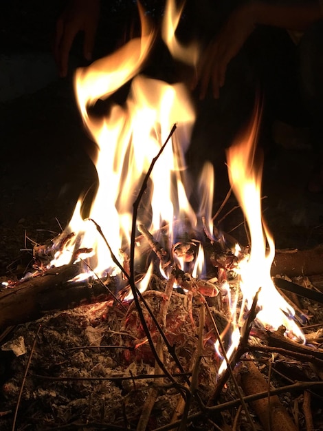 Photo close-up of bonfire at night