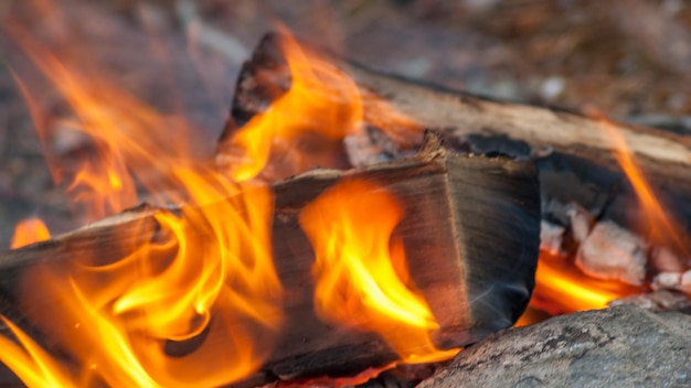 Close-up of bonfire at night