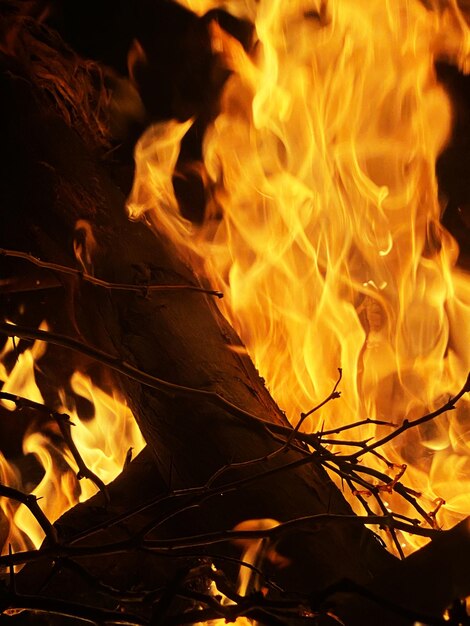 Photo close-up of bonfire at night