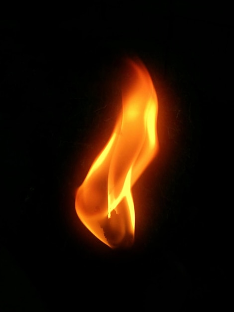 Photo close-up of bonfire at night