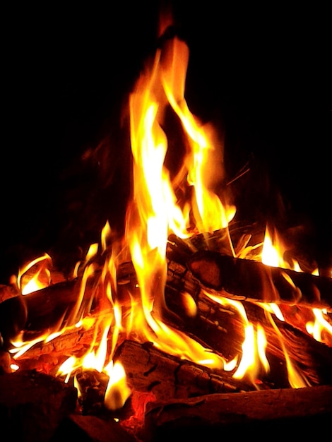 Close-up of bonfire at night