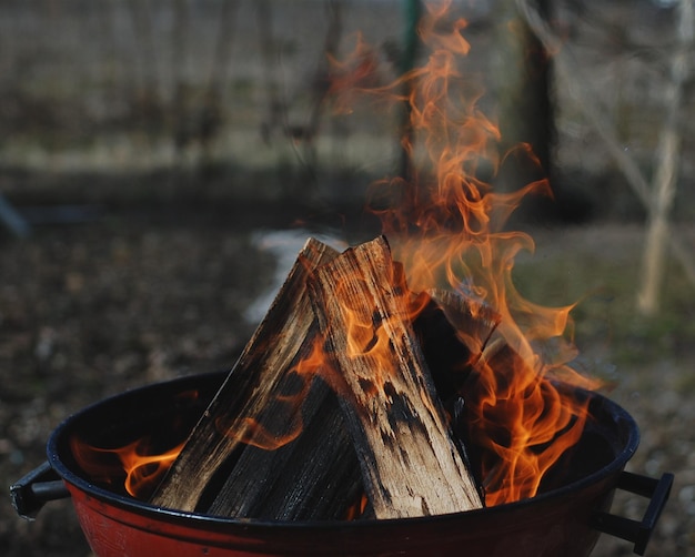 Close-up of bonfire