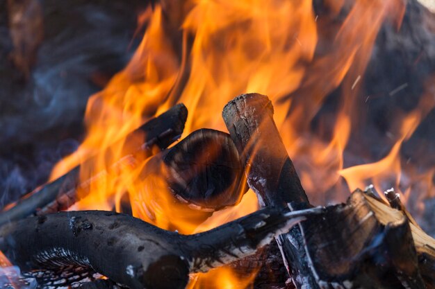 Close-up of bonfire