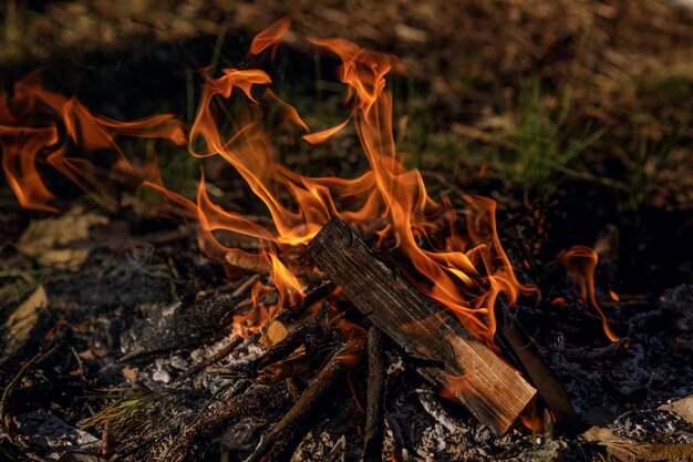 Close-up of bonfire