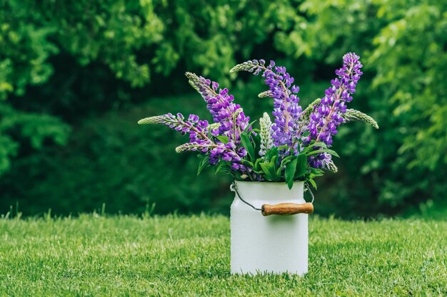 Close-up of bouquet of purple lupine flowers on grass