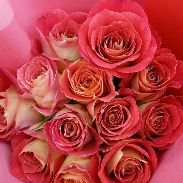 Photo close-up of bouquet of red roses