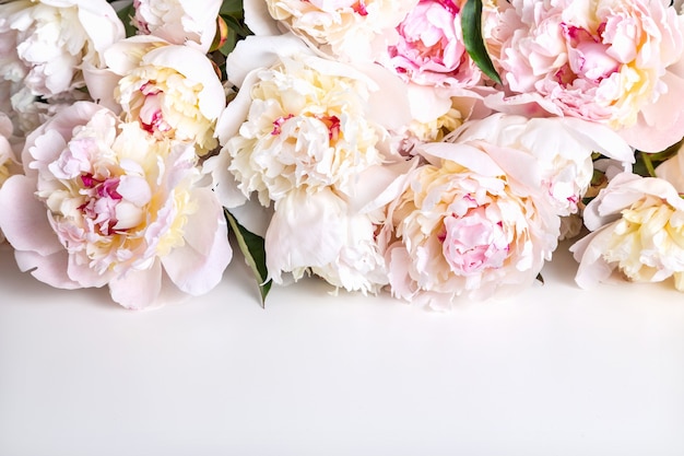 Close-up of a bouquet of white peonies