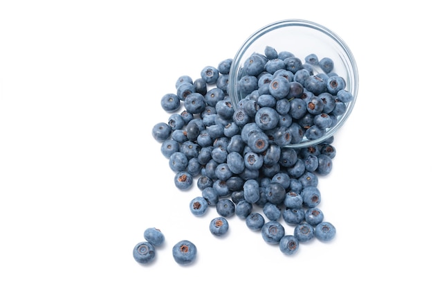 Close up of bowl full of blueberries isolated on white background. Ripe blueberry plate. Organic and healthy food.