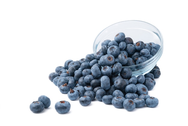 Close up of bowl full of blueberries isolated on white background.