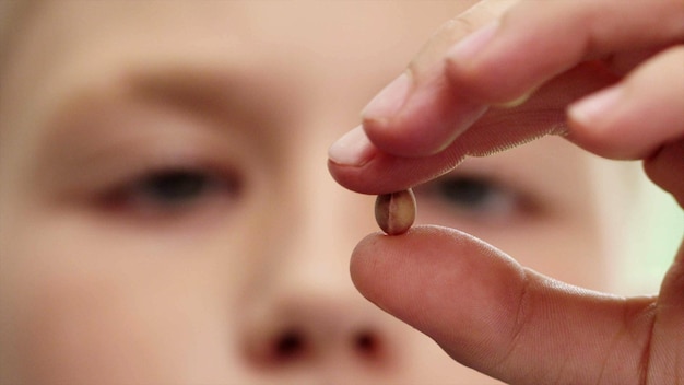 Close up boy holding plant seed in hand