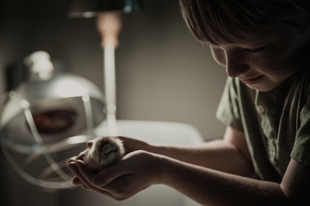 Photo close-up of boy holding young bird