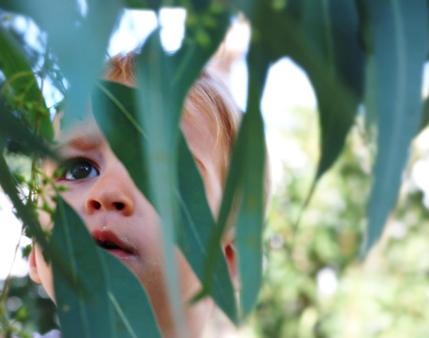 Foto close-up di un ragazzo visto attraverso le foglie