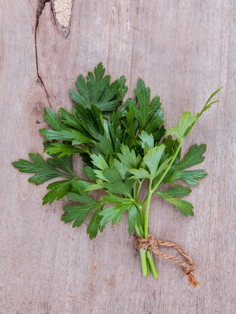 Close up branch of fresh parsley for seasoning concept on rustic old wooden background.