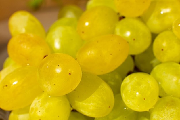 Close-up branch of raisins grapes