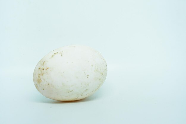 Close-up of bread against white background