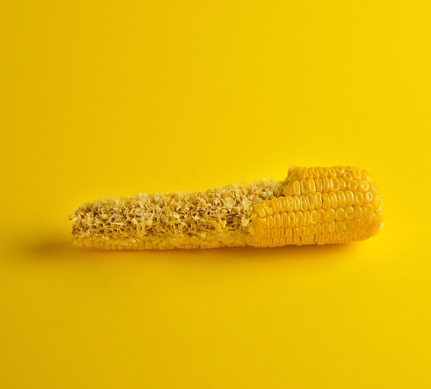 Close-up of bread against yellow background