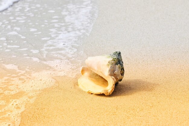 Close-up of bread on sand