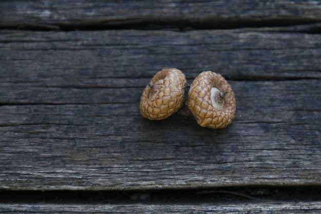 Close-up of bread on wood